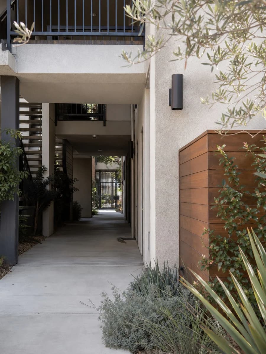 Contextual residential walkway with trees and maintained landscaping